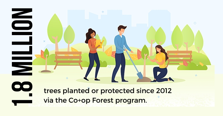 Contact, Forestry Co-op Program