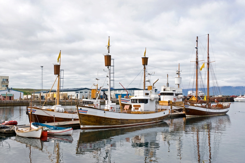 Community supported seafood: A model for the future?