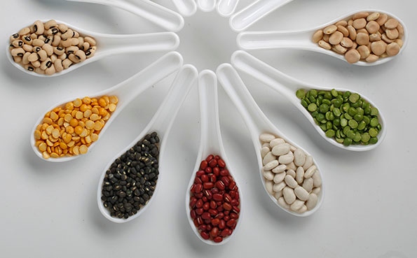 Industry prepares education initiative for International Year of Pulses
