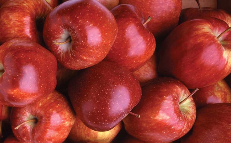 5@5: Walmart's new offering is a bag of ugly apples | How consumers read the Nutrition Facts panel