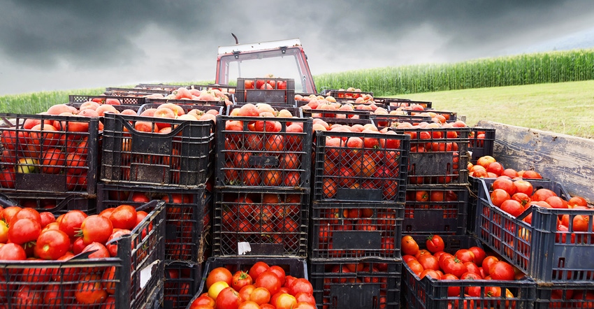 How to address organic supply chain integrity