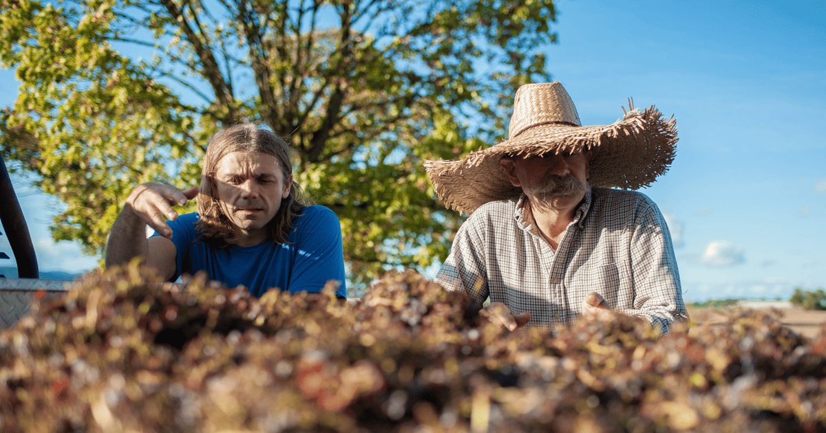 Chapul Farms turns waste into organic, sustainable soil amendment
