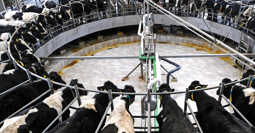 Dairy farmers have been losing money for years because the demand for milk products hasn't met the supply being produced. Dairy farmers have been losing money for years because the demand for milk products hasn't met the supply being produced.