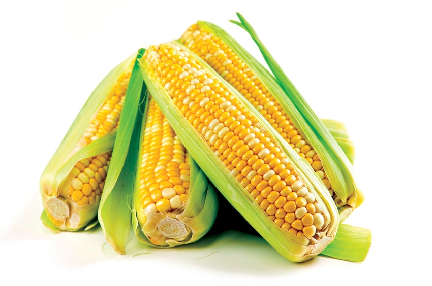 Corn refiners cry foul