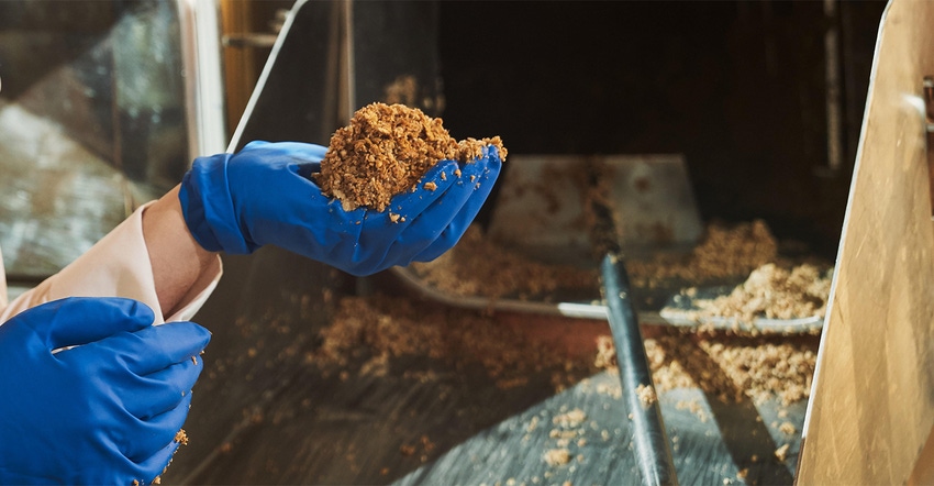 Brewers' spent grain can be upcycled as an ingredient in breads, pastas and baking mixes Brewers' spent grain can be upcycled as an ingredient in breads, pastas and baking mixes