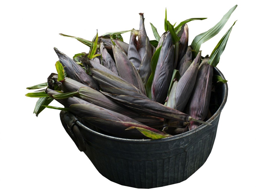 Purple corn in hot demand