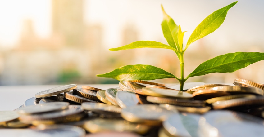 Plant growing out of money