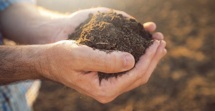 Beyond organic: How brands can be active players in restoring soil health and climate change mitigation
