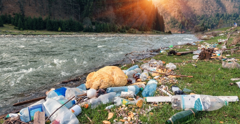 Plastic Pollution.png Plastic Pollution.png