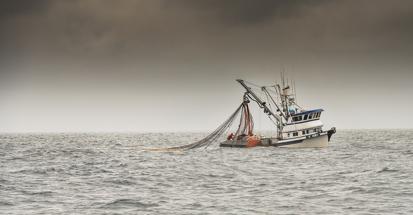 fishing trawler in alaska fresh frozen