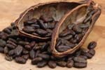 Cocoa for nutricosmetics