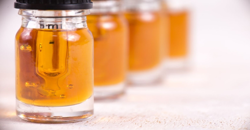 CBD oil 2019 CBD oil 2019