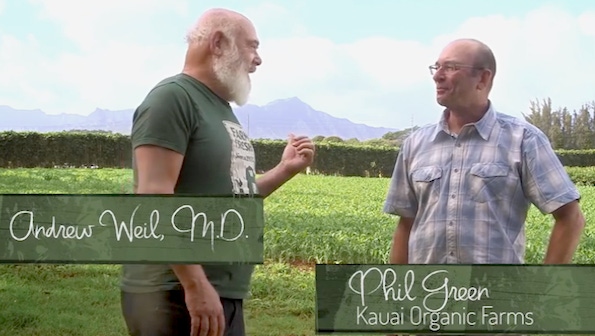 Meet the farmers behind your turmeric supplements