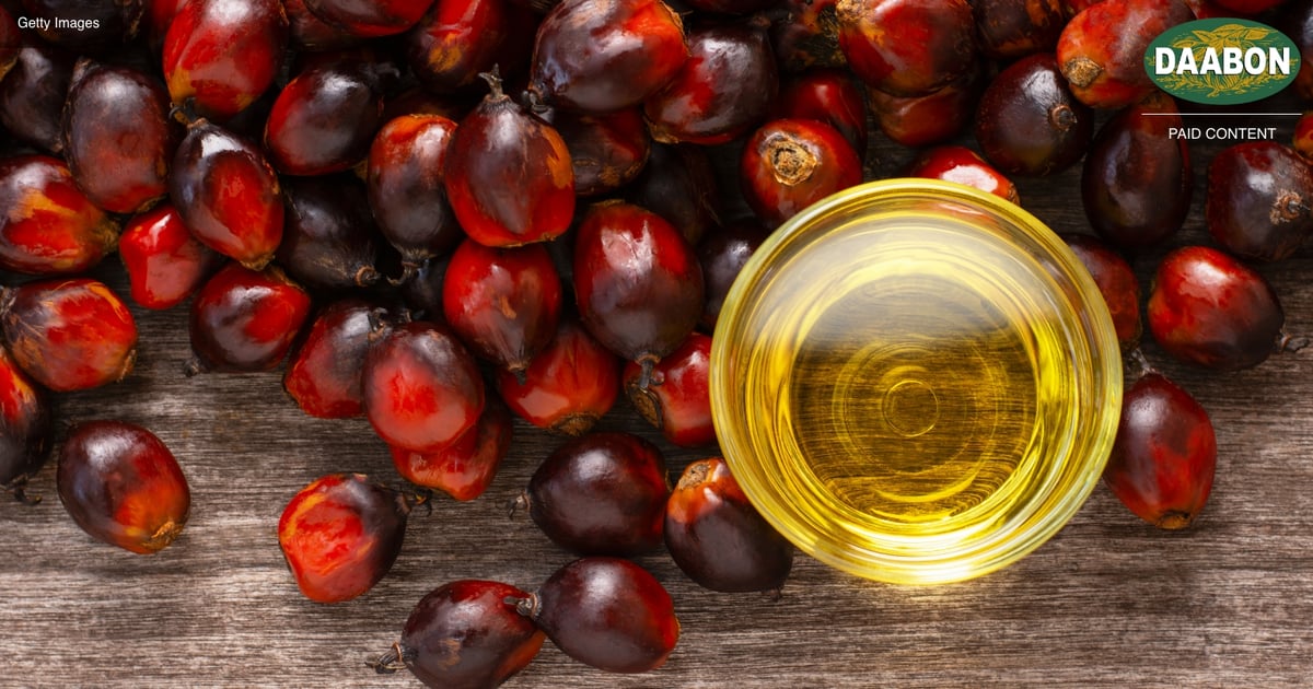 Seed oil alternatives see market surge Seed oil alternatives see market surge
