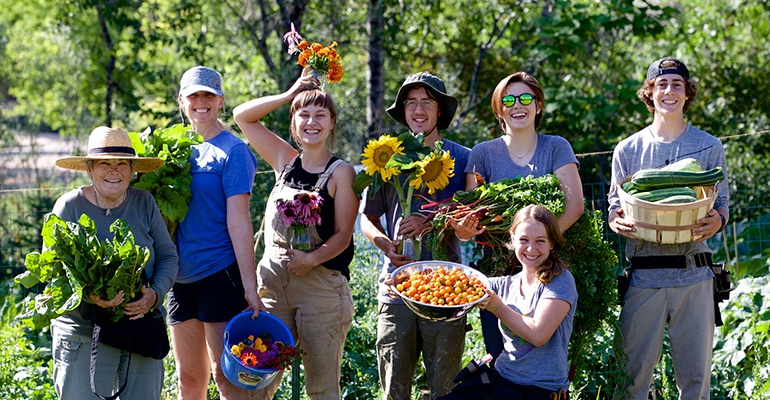 boundless landscapes microfarming boundless landscapes microfarming