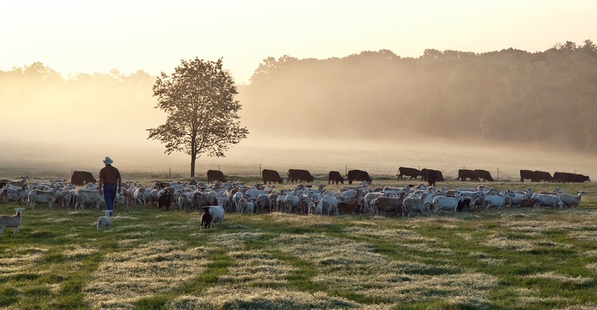 New Land to Market program will give land a voice of its own