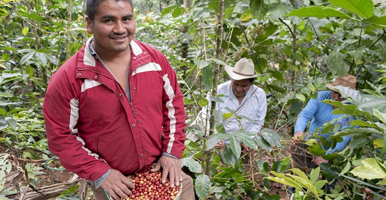 coffee fairtrade international