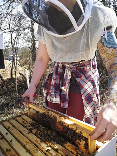 MOMs-Organic-Honey-Bees-375x500.jpg