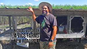 Nicolas Victorian, owner of 4 Vics Farm in Louisiana, poses for a portrait near a corn field.  Nicolas Victorian, owner of 4 Vics Farm in Louisiana, poses for a portrait near a corn field.