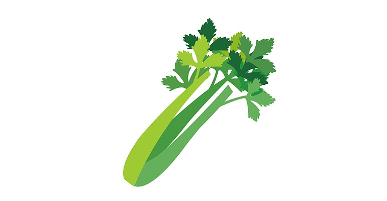 celery.jpg celery.jpg
