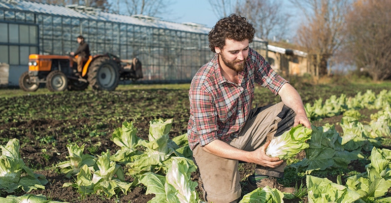 sustainable farmer policies sustainable farmer policies