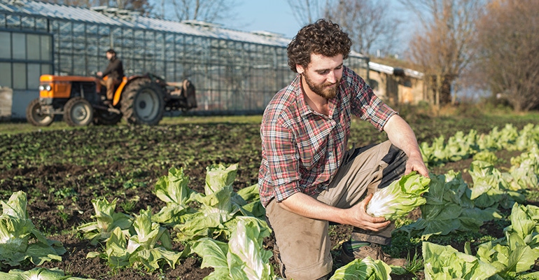 sustainable farmer policies