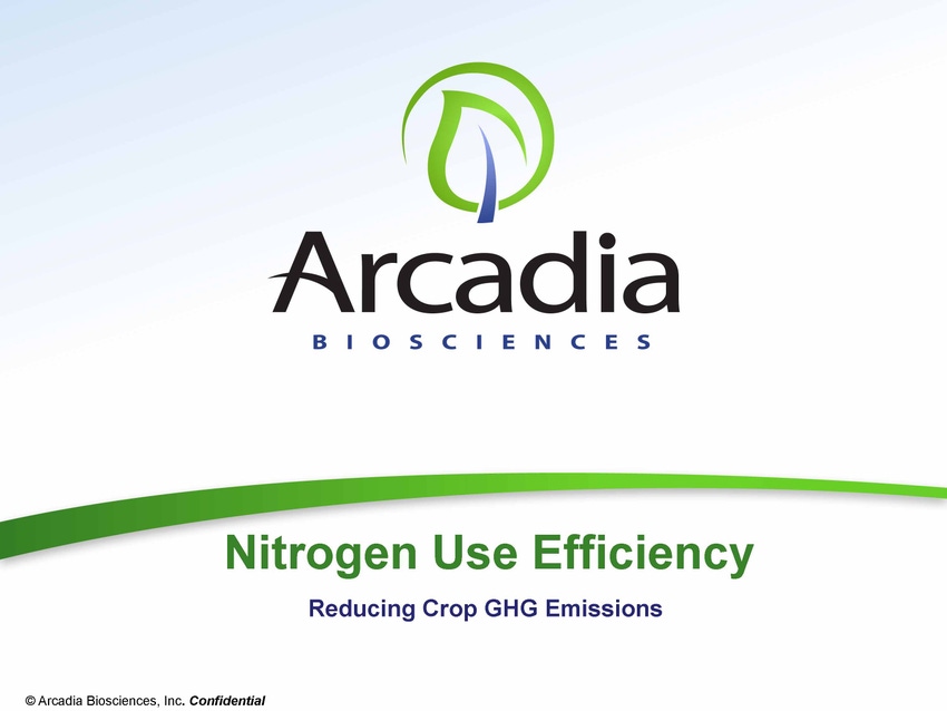 Collaboration test plants nitrogen use-efficient rice