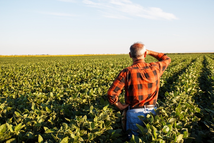 5@5: Rebel farmers want to develop their own organic | This investor is funding plant-based innovation from the Midwest 5@5: Rebel farmers want to develop their own organic | This investor is funding plant-based innovation from the Midwest