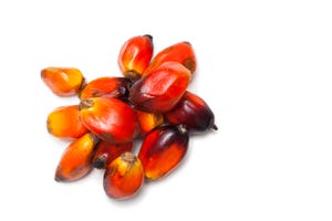 Secret Shopper: What's the difference between red palm oil and palm kernel oil?