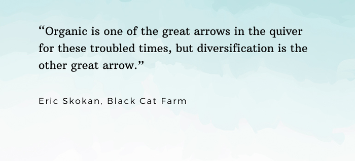 eric skokan black cat farm quote