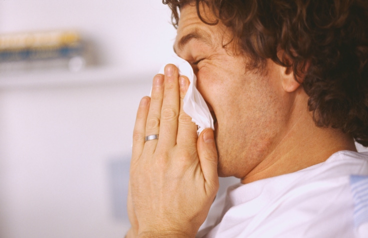 Probiotics offer hay fever help
