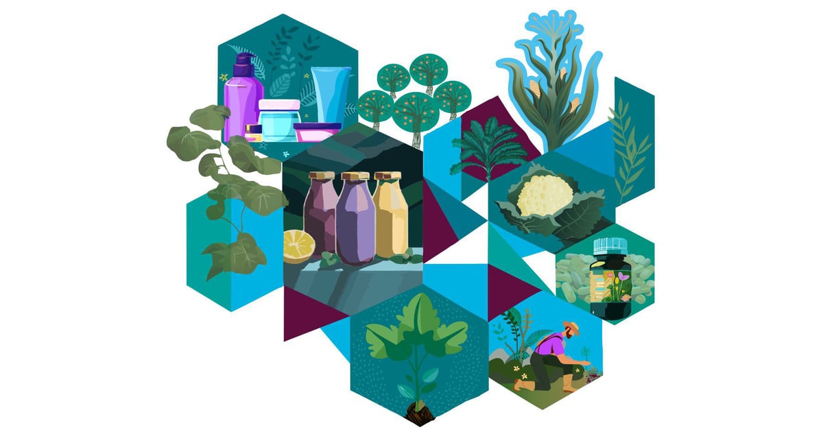 The future looks bright for the natural and organic products industry
