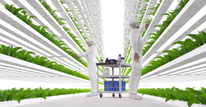 The smart and sometimes disturbing future of food