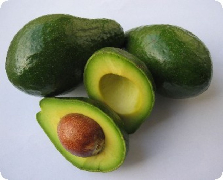 Avocados enhance absorption of essential nutrients