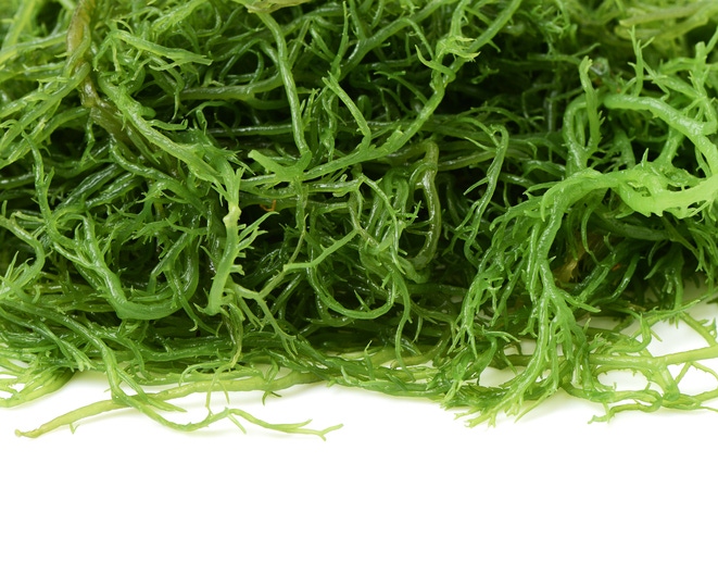 5@5: International tactics for fighting food waste | Seaweed—a superstar ingredient