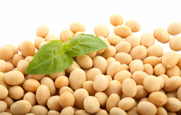 Snacks rich in soy protein help teens control appetite