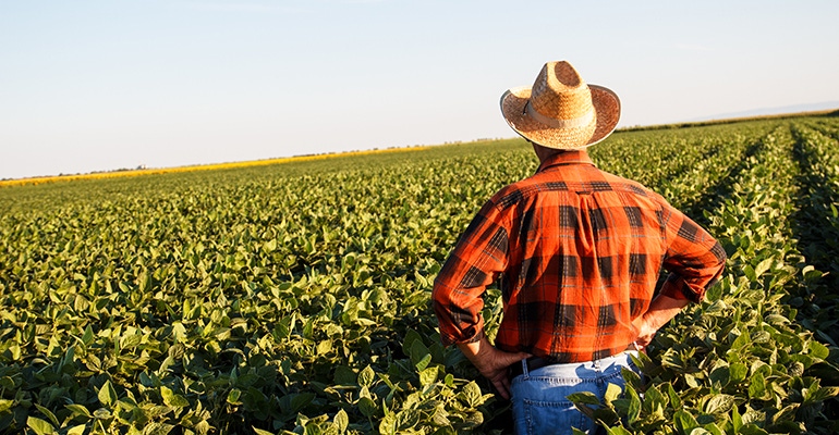 farmer-field.jpg farmer-field.jpg