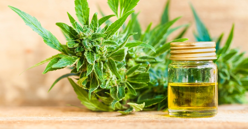 cbd from hemp could become a food additive