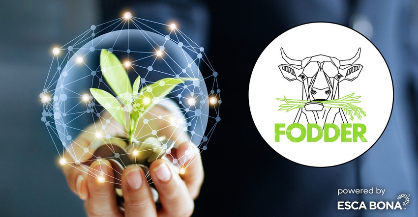 Fodder | What the world needs now from business