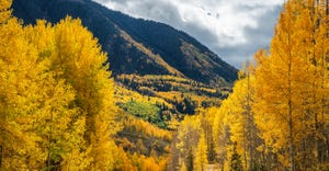 Autumn's change is so pertinent to the natural retail industry right now Christine Kapperman