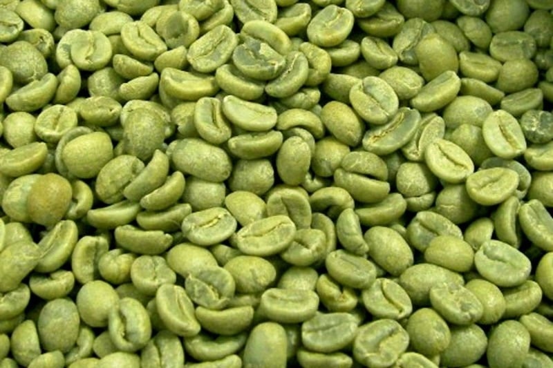 Solvent residues taint green coffee bean extracts