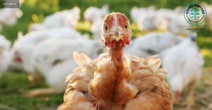 Revolutionizing the poultry marketplace