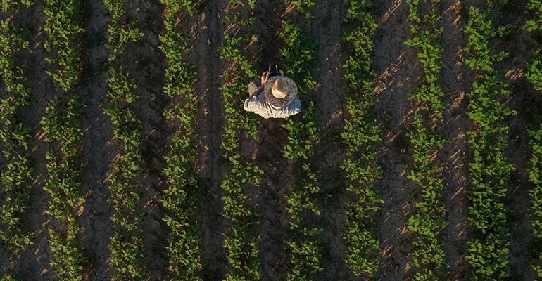 farmer in field