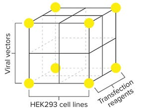 Overcoming Challenges in Viral Vector Production for Gene Therapy Using HEK Cell Cultures