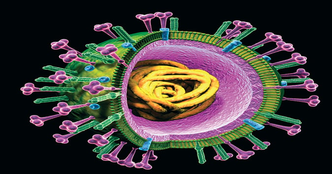 Cell-Culture–Based Influenza Vaccine Manufacturing: Evaluation of Near ...