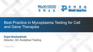 Best Practices in Mycoplasma Testing for Cell and Gene Therapies