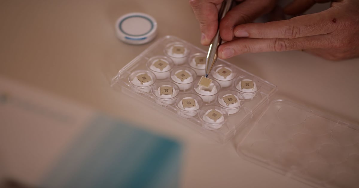Merck takes option to use Vaxxas vaccine patch - Bioprocess Insider