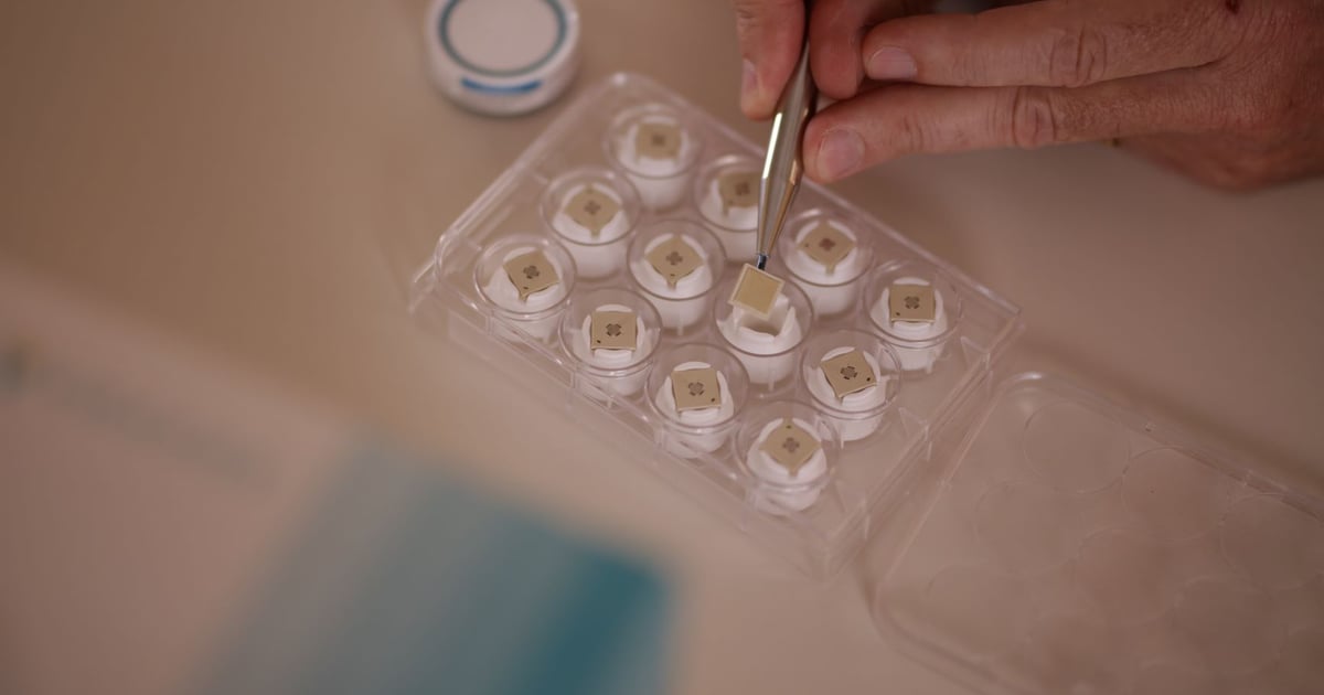 Merck takes option to use Vaxxas vaccine patch - Bioprocess Insider