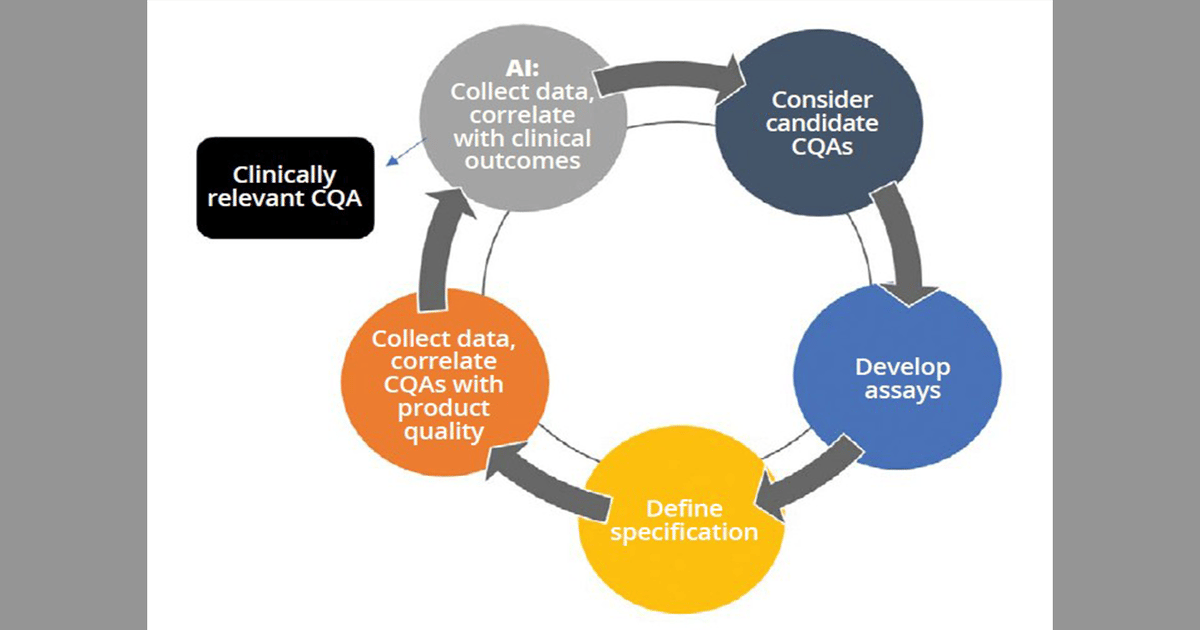 Integrating Quality by Design Principles into Gene-Therapy CMC Programs: Establishing Manufacturing Control and Comparability
