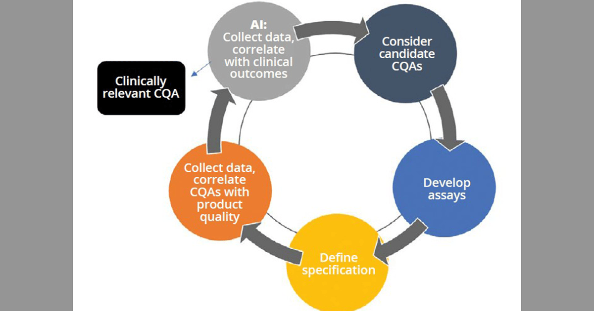 Quality by Design Principles in Gene-Therapy CMC Programs